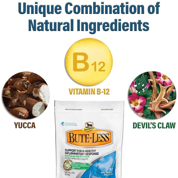 Absorbine Bute-Less Comfort & Recovery Support Pellets 10 lb / 160 Day Supply Absorbine