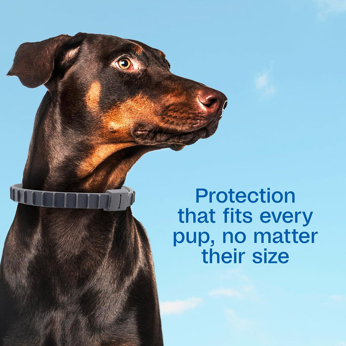 Adams Flea & Tick Collar for Dogs & Puppies Flea Collar Protection 2 Count
