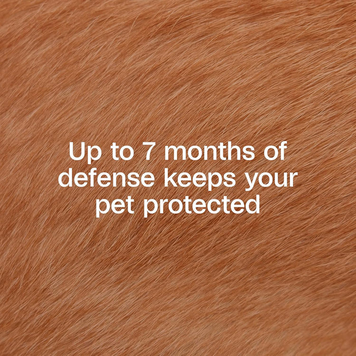 Adams Plus Flea Tick Collar Dogs 7-Month Large Dogs Puppies Kills Fleas Ticks