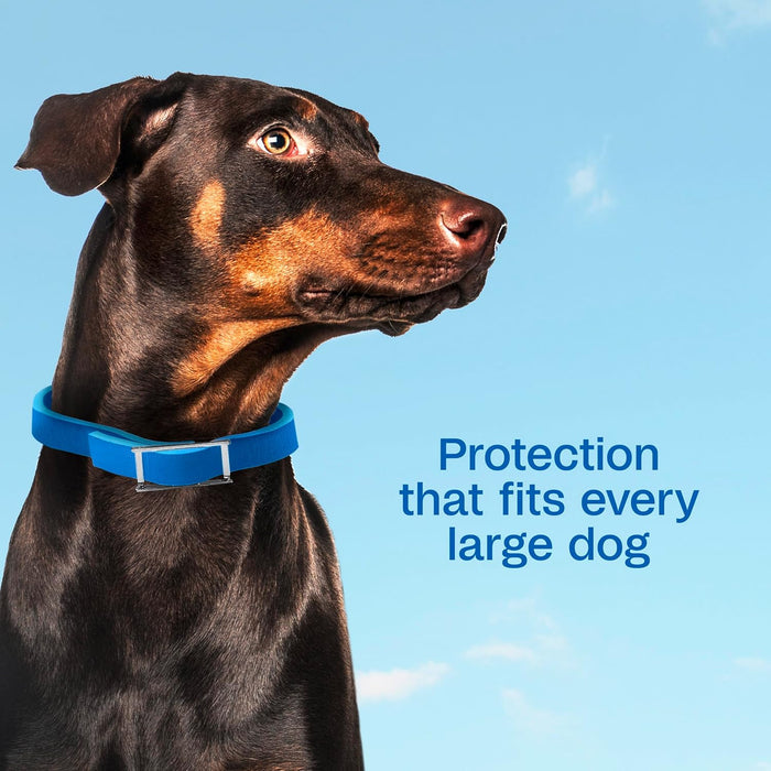 Adams Plus Flea Tick Collar Dogs 7-Month Large Dogs Puppies Kills Fleas Ticks