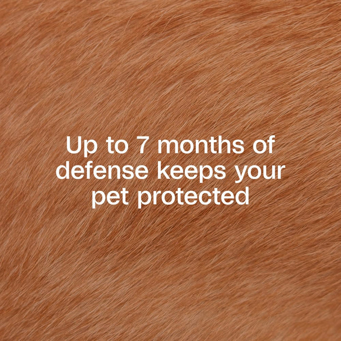 Adams Plus Flea & Tick Collar for Small Dogs & Puppies 7 Month Protection