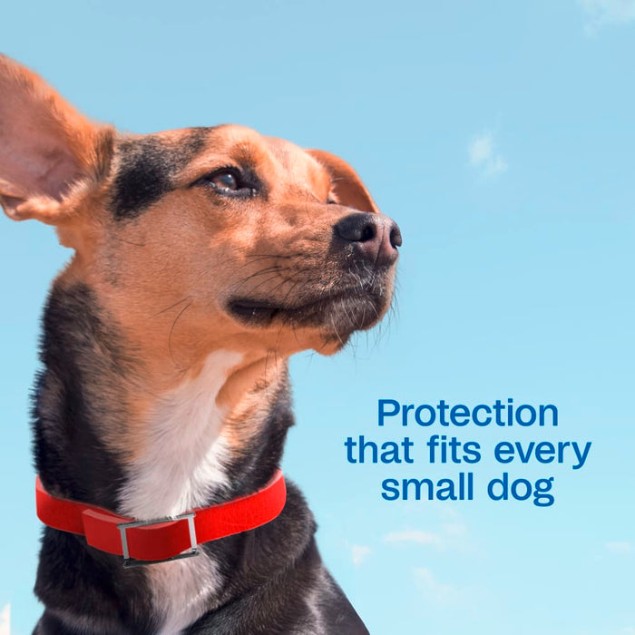 Adams Plus Flea & Tick Collar for Small Dogs & Puppies 7 Month Protection