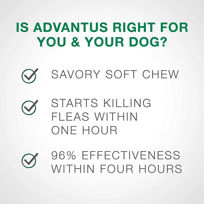 Advantus Flea Soft Chews for Small Dogs 4-22 lbs. 30 Count Bayer