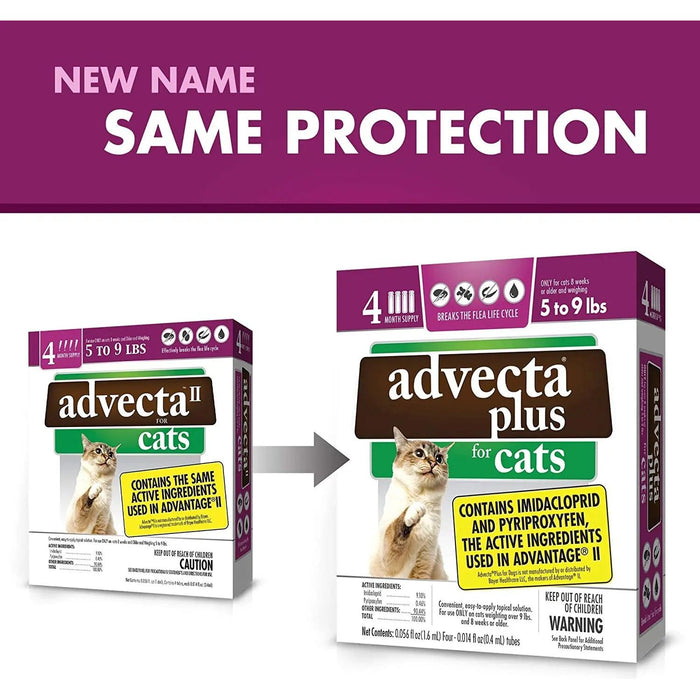 Advecta Plus Flea and Tick Treatment for Small Cats 4 Count Advecta