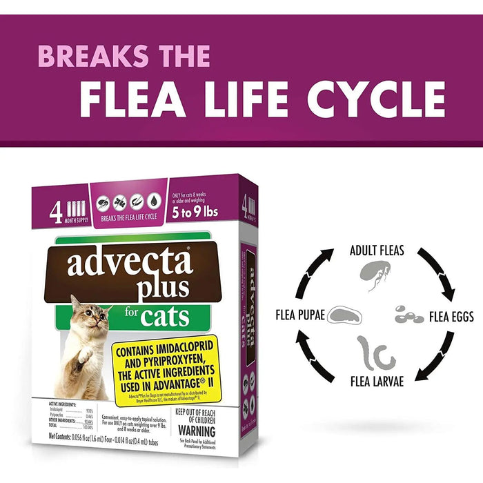 Advecta Plus Flea and Tick Treatment for Small Cats 4 Count Advecta
