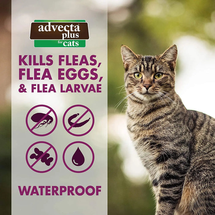 Advecta Plus Flea and Tick Treatment for Small Cats 4 Count Advecta