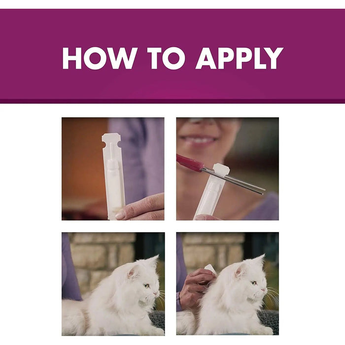 Advecta Plus Flea and Tick Treatment for Small Cats 4 Count Advecta