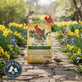 Alligator Premium Wild Bird Seed Blend 5 lb No Corn Natural Year-Round Feed