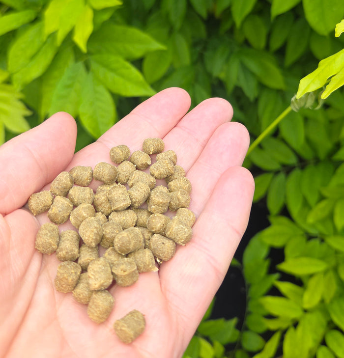 Anco Nibbles Salmon Treats 300g