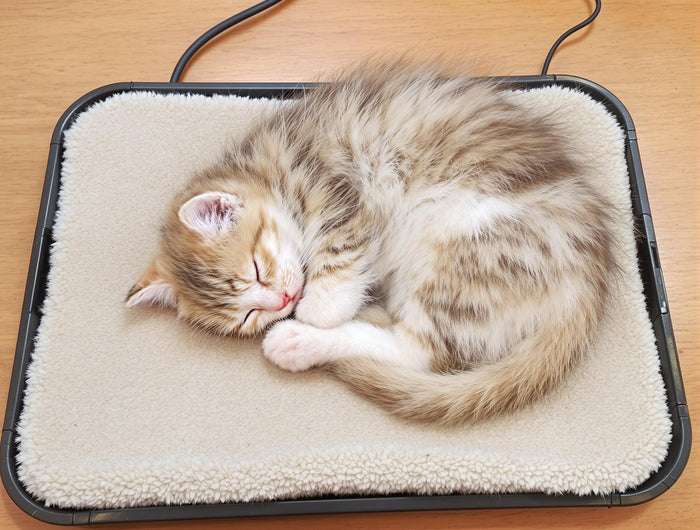 API Extra Small Plastic Heated Pet Mat for Pets 9"x 12" 2-Pack Thermostat Controlled, Weather-Resistant, Anti-Chew Cord