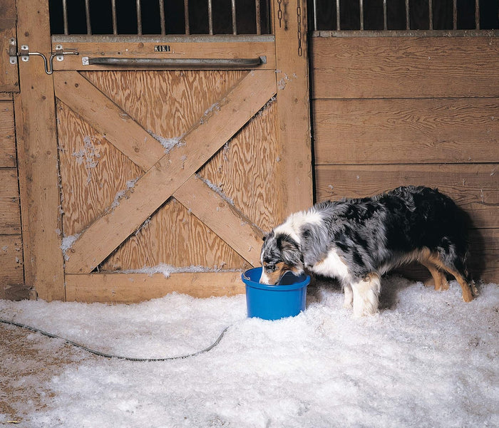 API Livestock Heated Round Water Bucket, 9 Quart 50W Anti-Chew Cord Ice-Free