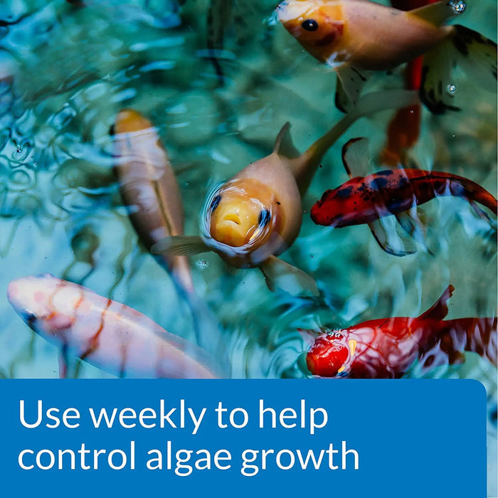 API Pond ALGAEFIX Algae Control Solution 8 oz. Bottle API