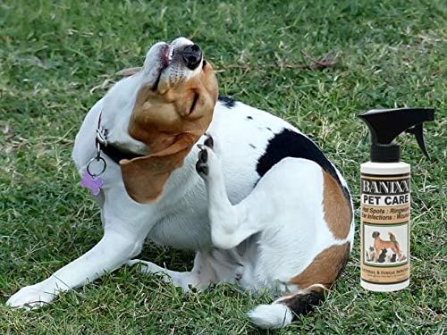 Banixx Pet Care Spray 8 oz – Skin & Coat Care Solution – USA Made