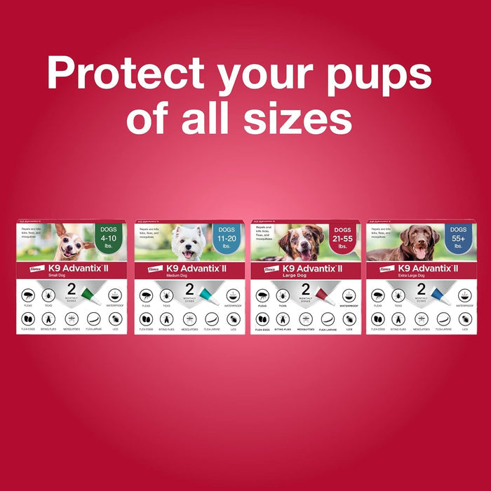 Bayer K9 Advantix II Flea Treatment for XL Dogs 2 Month Supply