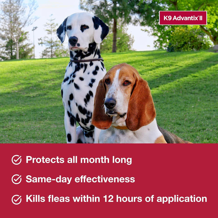 Bayer K9 Advantix II Flea Treatment for XL Dogs 2 Month Supply