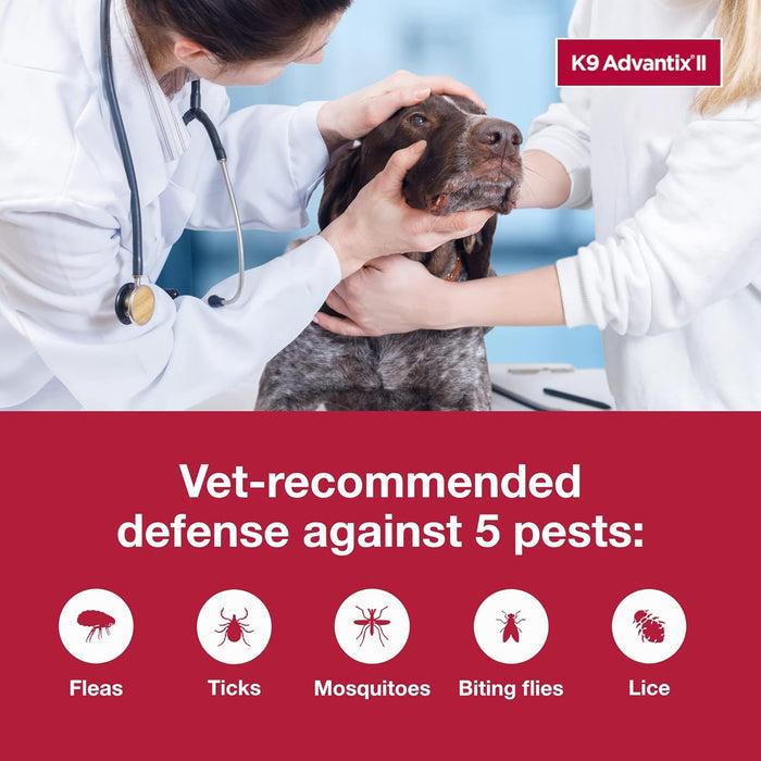 Bayer K9 Advantix II Flea Treatment for XL Dogs 2 Month Supply