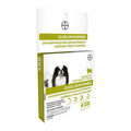Bayer Quad Dewormer Chewable Tablets for S M L Dogs Bayer