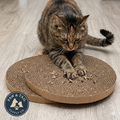 Bergan Turbo Cat Scratcher or Star Chaser Replacement Scratch Pads 2-Pack