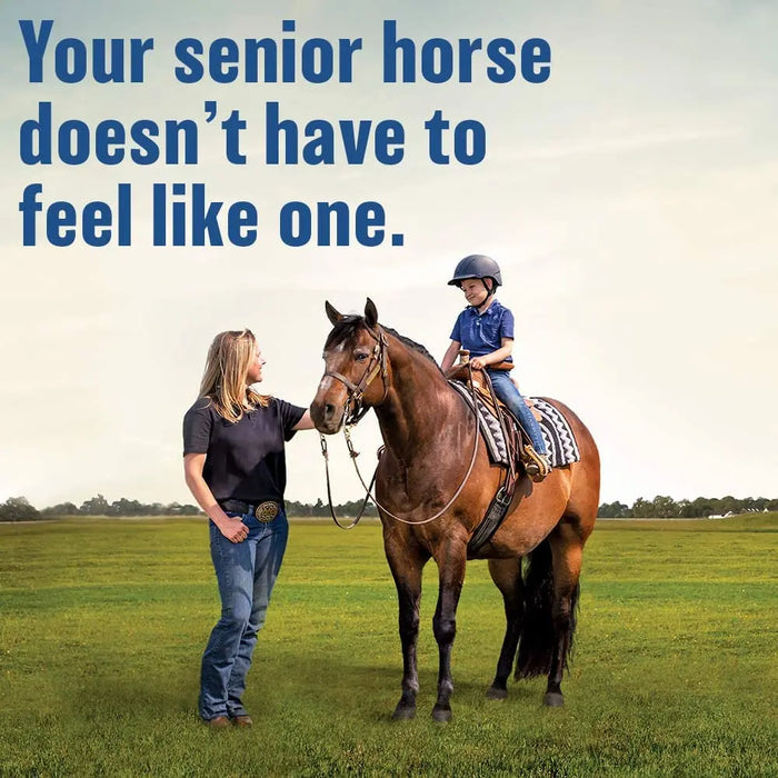 Bute-Less Comfort & Recovery Joint Supplement with B-12 for Horses Absorbine