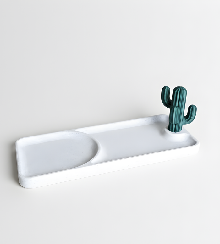 Cactray Organizer