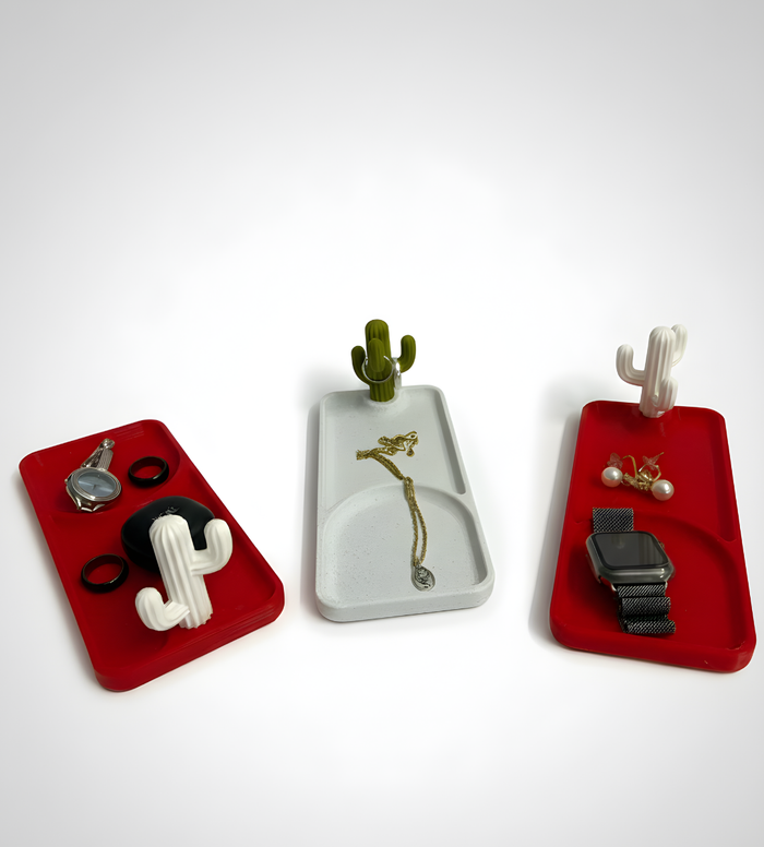 Cactray Organizer