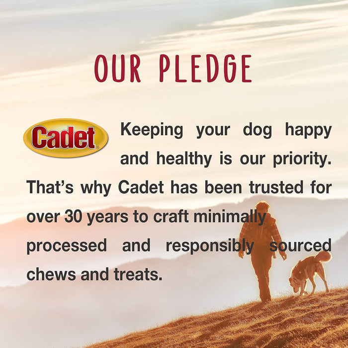 Cadet Pressed Rawhide Bones 6.5" Dog Chews Long Lasting Beef Hide 12 Pack