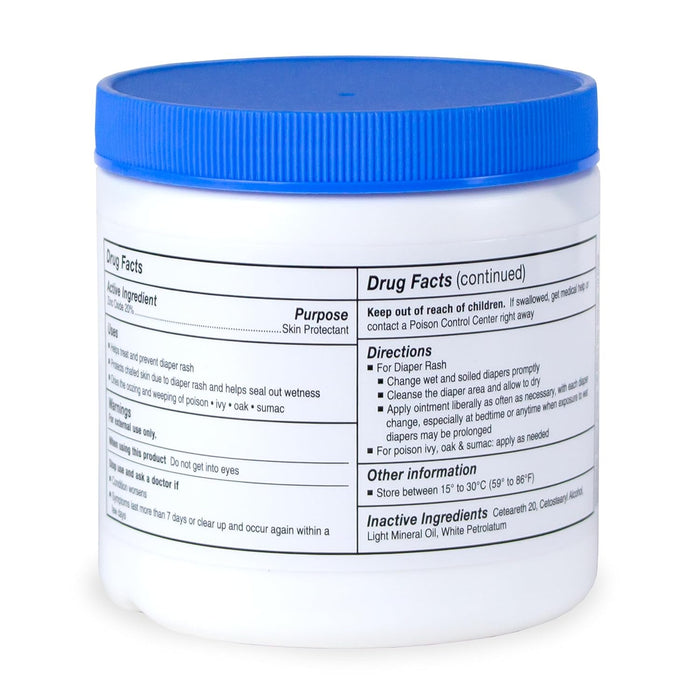 CareAll Zinc Oxide Skin Protectant Ointment 15 oz. Jar