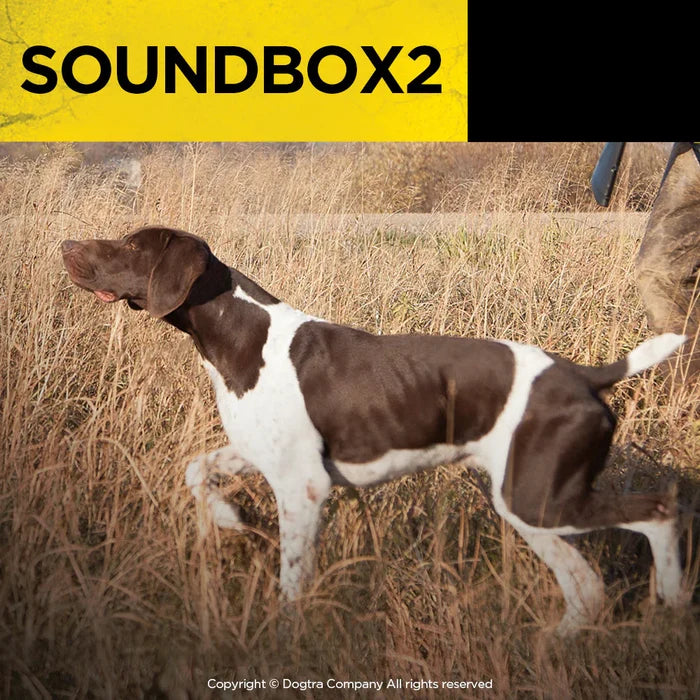 Cat Dogtra Sound Box Remote Trainers Version 2 Black