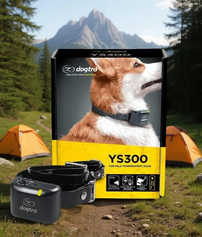 Cat Dogtra Ys300 No Bark Collar Small Medium Dogs, Recognition Technology