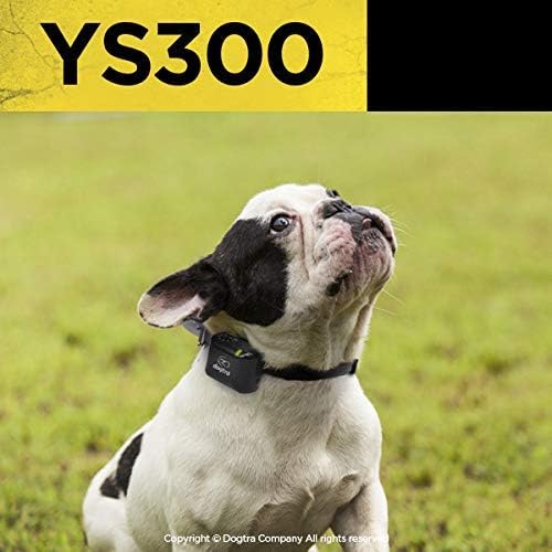 Cat Dogtra Ys300 No Bark Collar Small Medium Dogs, Recognition Technology