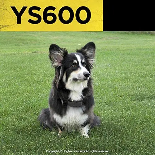 Dogtra YS600 Rechargeable Waterproof High-Output No Bark Collar Dogtra