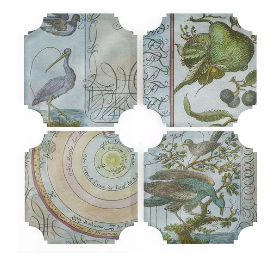 Celestial Birds & Pears Coasters - set of 4