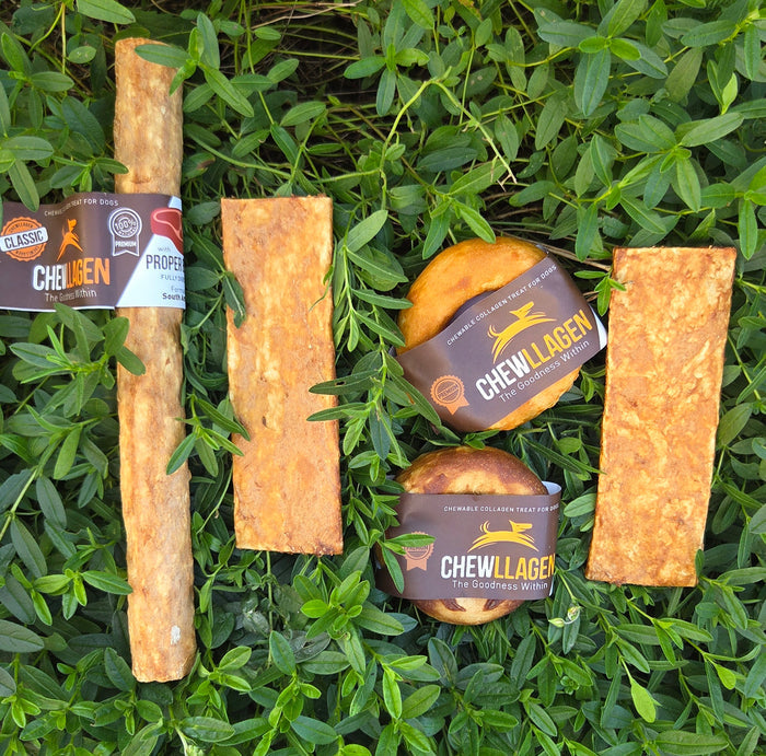 Chewllagen Bundle