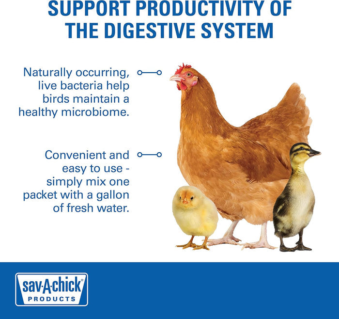 Chicken Adult Bird Sav-a-chick Probiotic Digestive Health Supplement Poultry 9pck