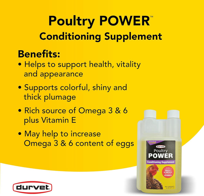 Chicken Bird Durvet Poultry Power Omega 3 6 Vitamin E Supplement Chickens Birds 16 Oz.