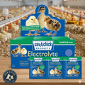 Chicken Bird Sav-a-chick Poultry Vitamins & Electrolytes 20 Pack Supplement