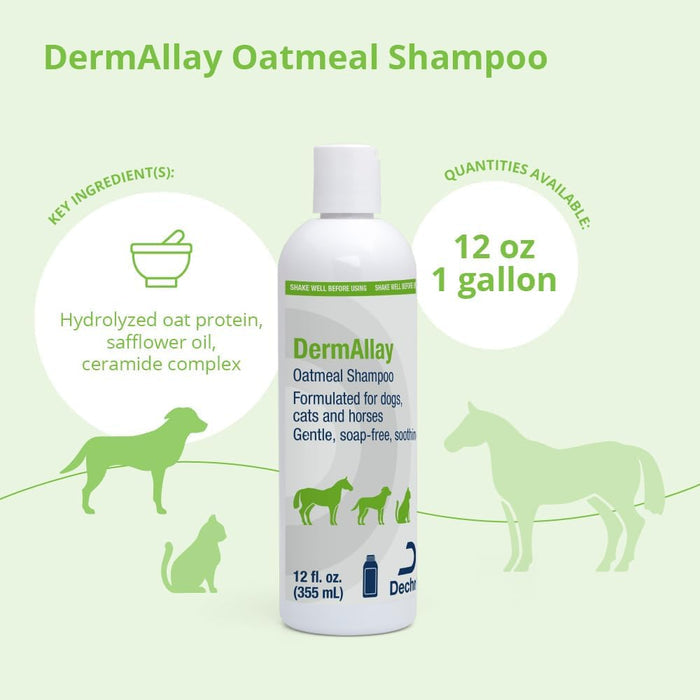 Dechra DermAllay Oatmeal Shampoo 12oz. Dogs Cats Horses Soothes Itchy Dry Skin