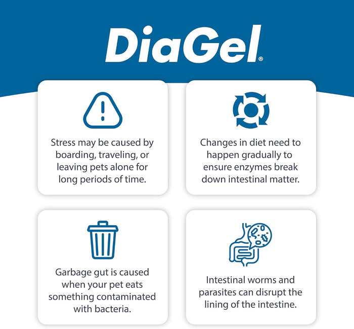 DiaGel Diarrhea Control Gel 1 ml Small Dogs Digestive Upset Loose Stool Relief