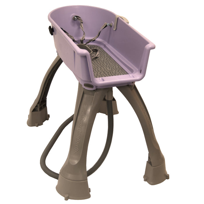 Dog Elevated Bath Grooming Center