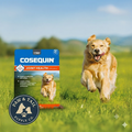 Dog Nutramax Cosequin Ds Plus Msm Professional Line Soft Chews 60ct Joint Support