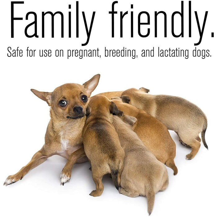 ZoGuard Plus Flea and Tick Drops for XL Dogs 3 Months 89-132 lbs. ZoGuard