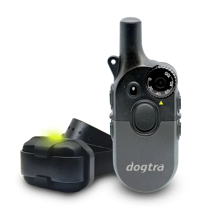 Dogtra 1/2 Mile 1 Dog Compact Remote Trainer 200iq E-collar 2-pack
