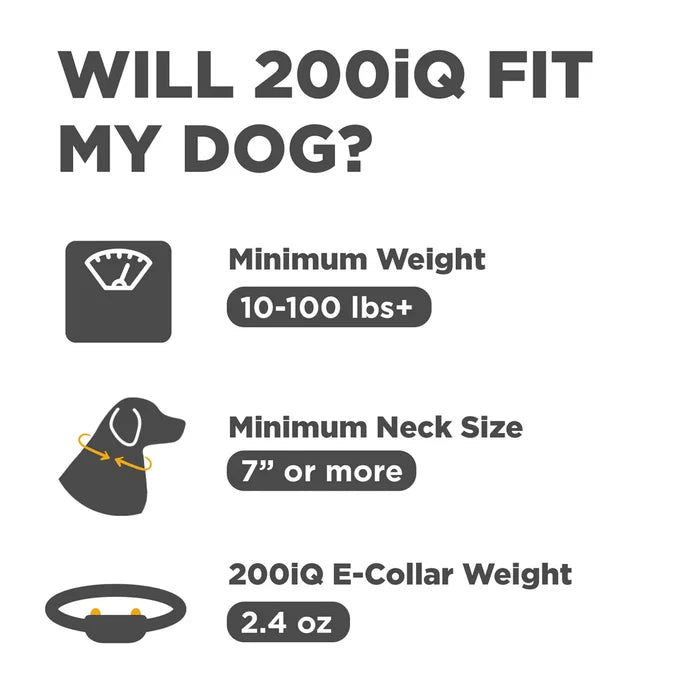 Dogtra 1/2 Mile 1 Dog Compact Remote Trainer 200iq E-collar 2-pack