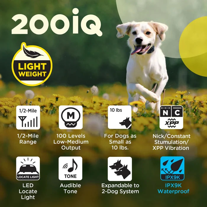 Dogtra 1/2 Mile 1 Dog Compact Remote Trainer 200iq E-collar