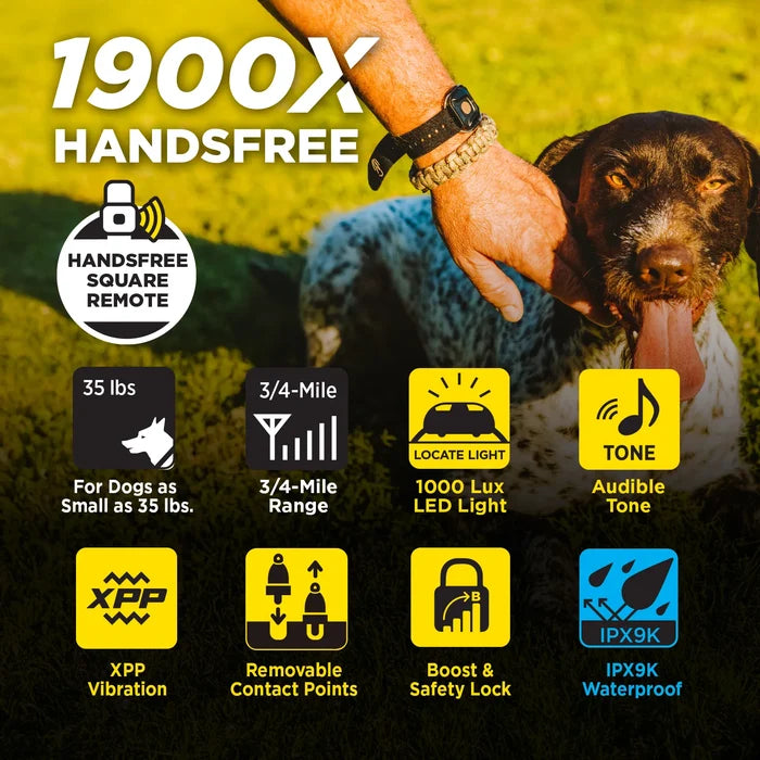 Dogtra 3/4 Mile 1 Dog X-series Handsfree Remote Trainer Training System