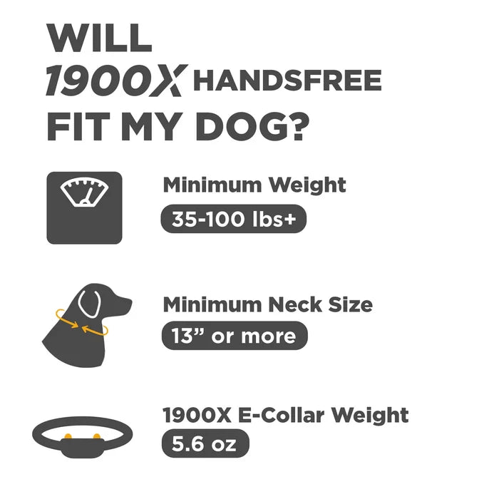 Dogtra 3/4 Mile 1 Dog X-series Handsfree Remote Trainer Training System