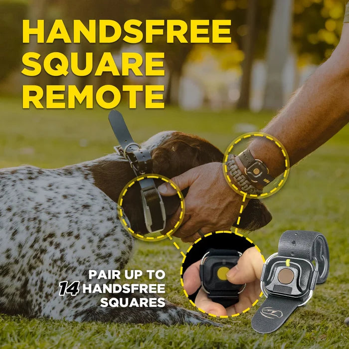 Dogtra 3/4 Mile 1 Dog X-series Handsfree Remote Trainer Training System