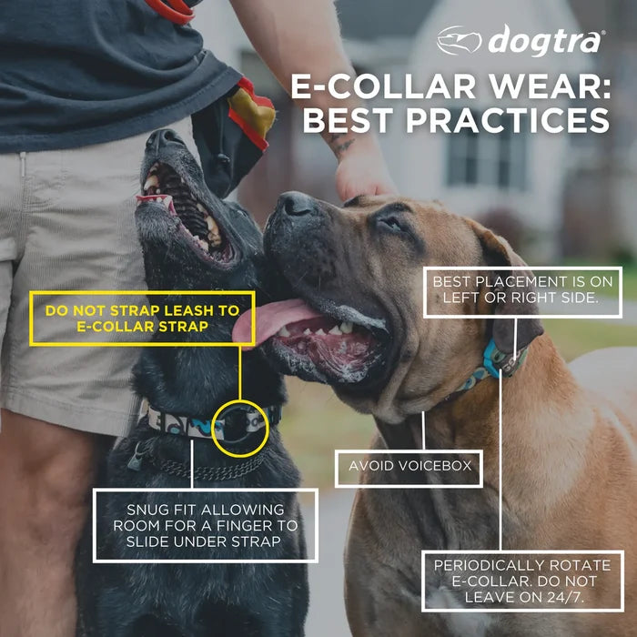 Dogtra Add a Collar for 280x Blue Led Dog E-collar Waterproof