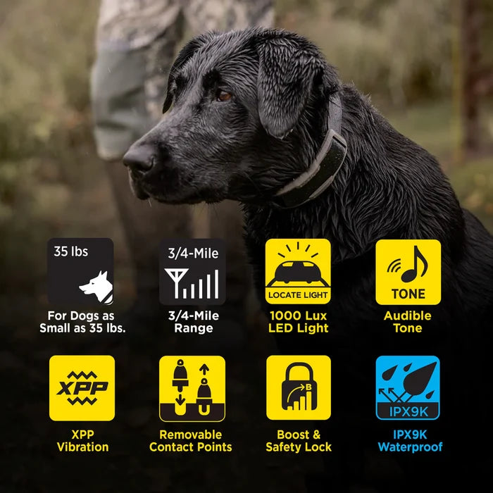 Dogtra Additional Collar for 1900X Blue LED E-Collar Light