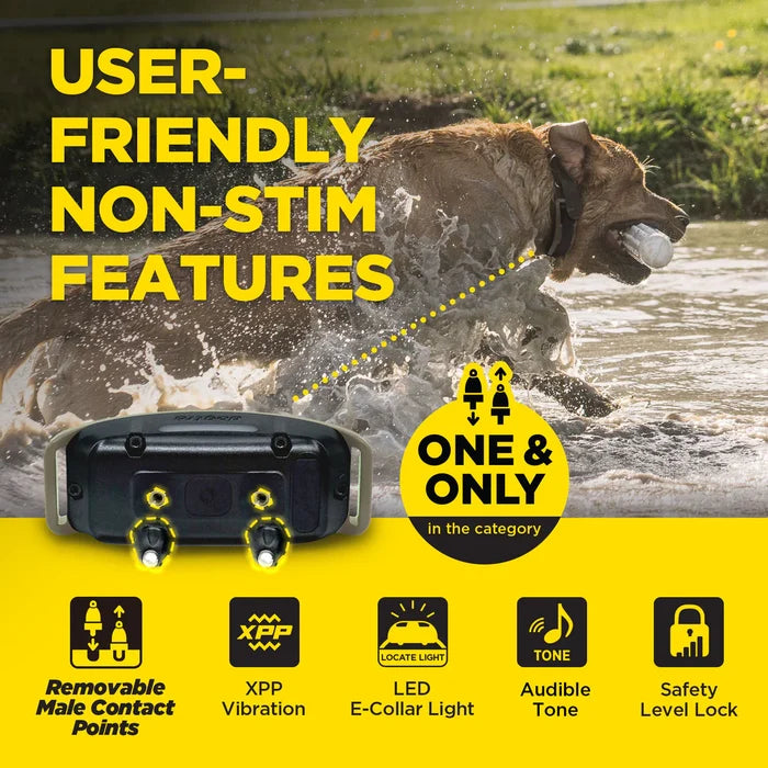 Dogtra Additional Collar for 1900X Blue LED E-Collar Light